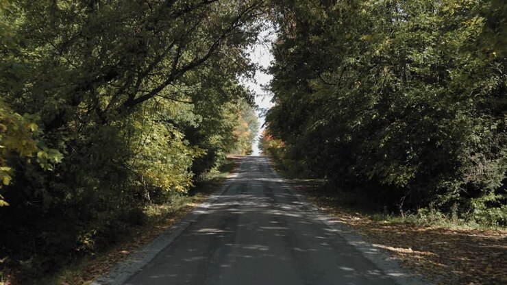 Strada sterrata che attraversa il centro di una foresta a Ottawa, Canada