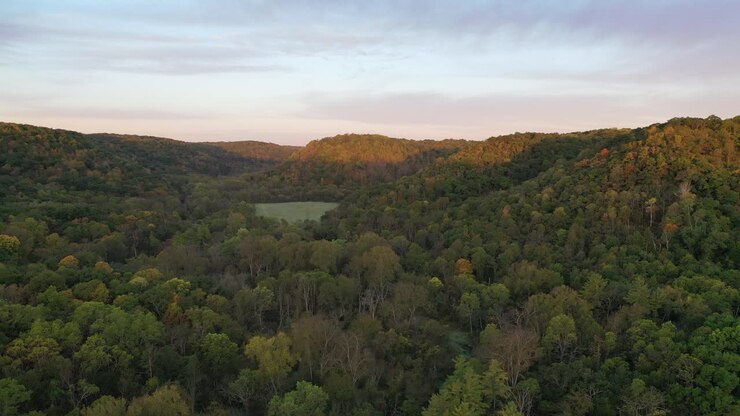 Sunrise over a valley and forest