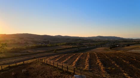 aerial panoramic landscape view over cows grazing on a farmland, in the hills of tuscany, italy, at sunrise