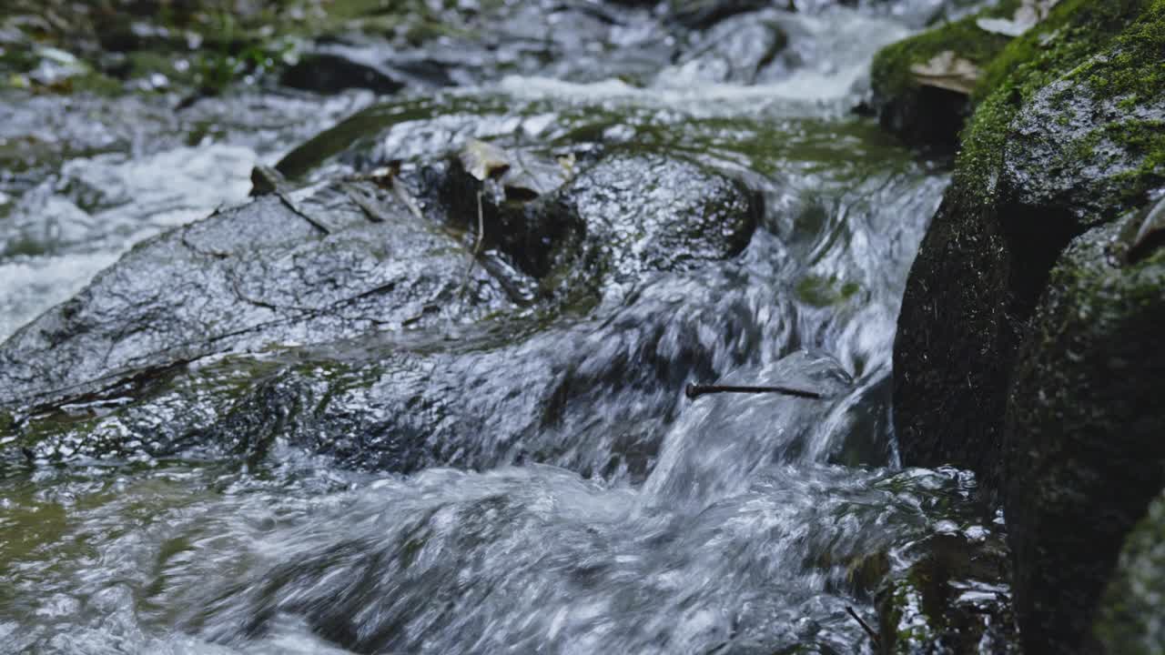 A peaceful scene of a crystal-clear stream flowing through a lush forest, framed by vibrant greenery and soft sunlight. This footage promotes watershed preservation and environmental sustainability.