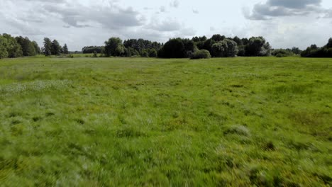 Aerial-footage-over-green-grass