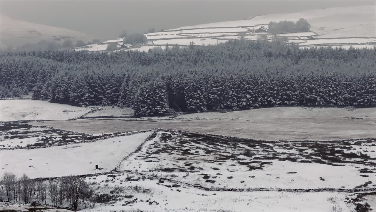 Teleobjektiivilla kuvattu droonikuva Yorkshire Dalesin lumisista männyistä