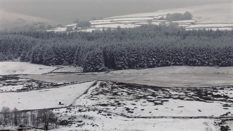 Lente-Larga-Que-Establece-Una-Toma-De-Drones-De-Pinos-Nevados-En-Los-Valles-De-Yorkshire