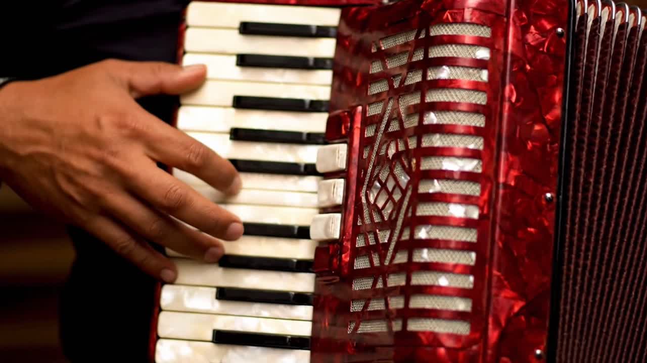 Musician Playing a Red Accordion Instrument