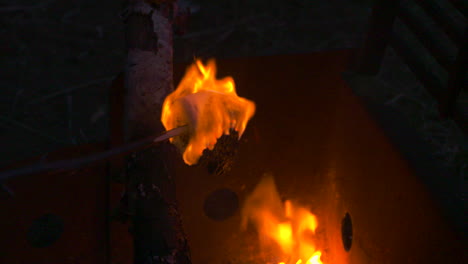 marshmallow on a stick is set ablaze in a hot campfire