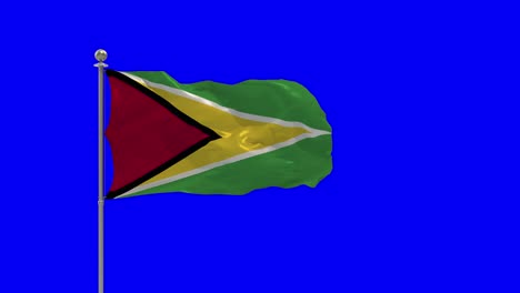 ilustración guyana3d de la bandera ondeando en un poste con croma