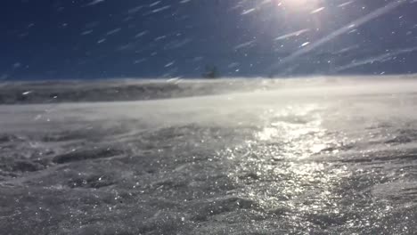 nieve de invierno brillando en la luz