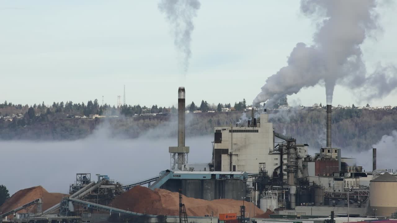 White Smoke Billowing From Industrial Stacks Of Paper Mill In Tacoma