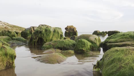 Mossy-boulders-near-Scala-dei-Turchi-in-Argigento,-Sicily-at-sunset