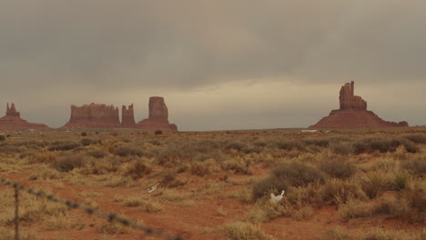 Un-Lapso-De-Tiempo-De-Una-Hermosa-Puesta-De-Sol-En-El-Desierto-De-Arizona-Mientras-Los-Autos-Pasan-En-La-Distancia