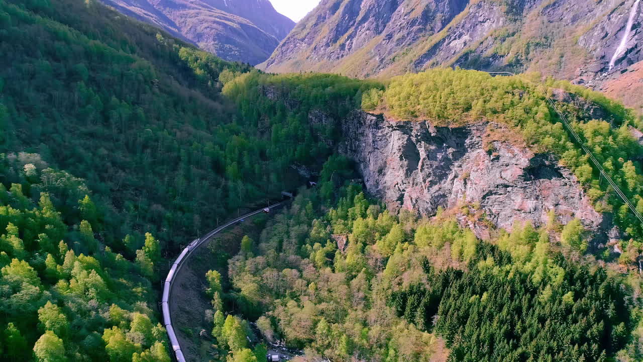 Foresta verde attraversata da un treno che curva.
