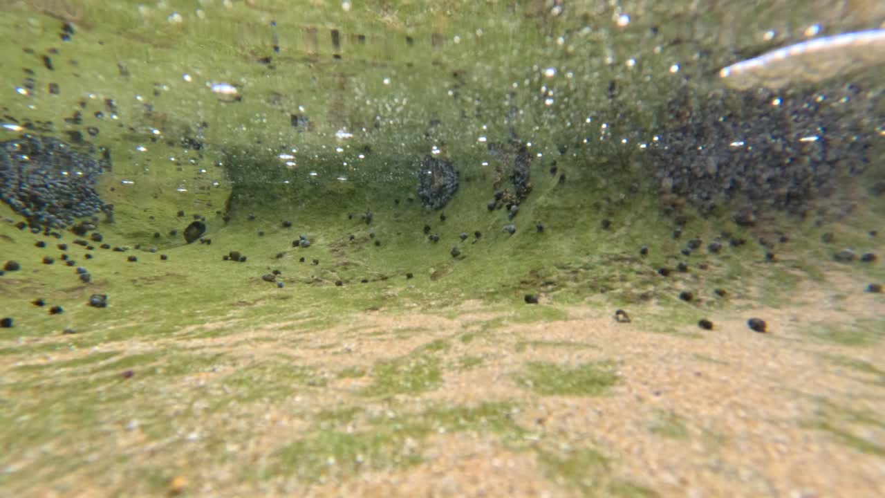 바위 웅이가 물 위에서 물 으로 전환하는 모습