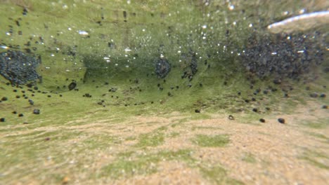 rockpool transición de encima del agua a la vista bajo el agua