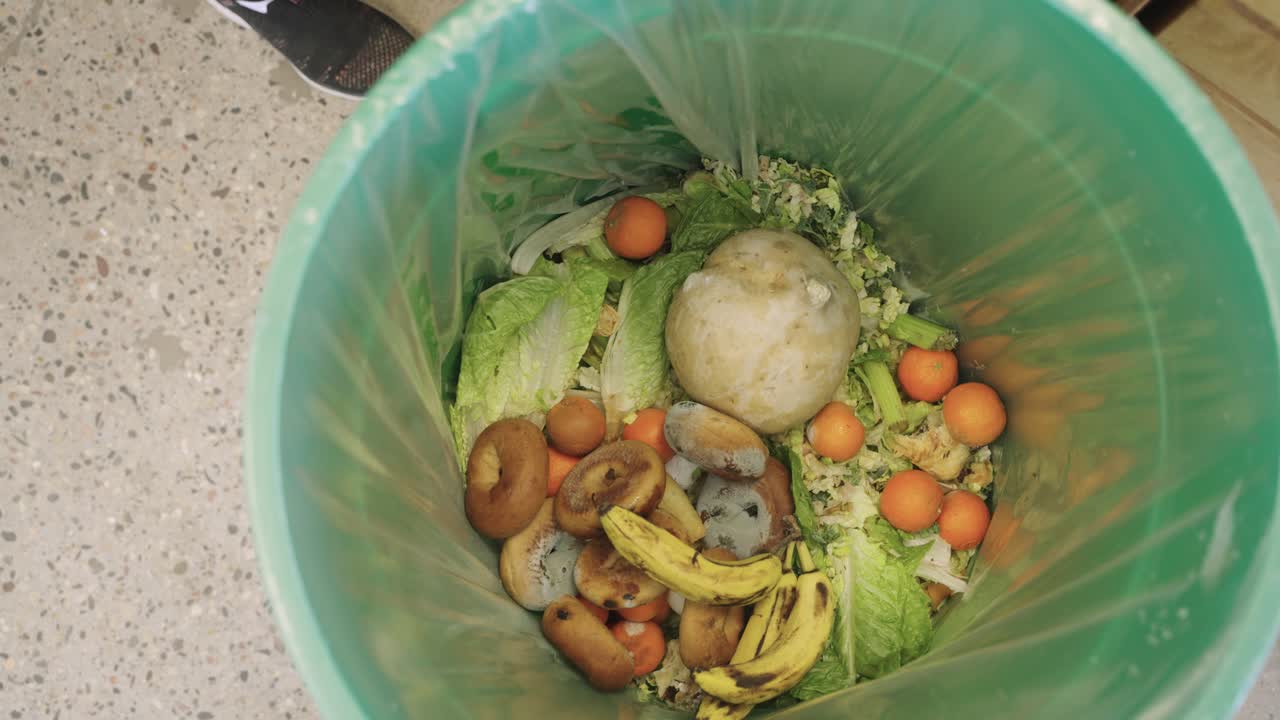 Rotten foods getting disposed for pigs into food barrel.