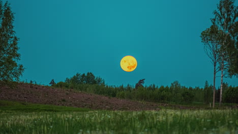 imágenes cinematográficas de la puesta de la luna sobre una colina cubierta de hierba y tierra con árboles y arbustos en primer plano
