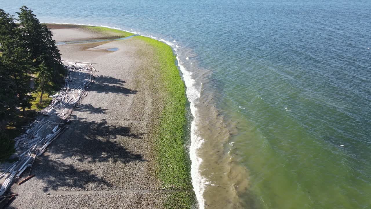 브리티시 컬럼비아 주 깁슨스의 보니브룩 해변에서 해조류로 덮인 바위에 썰물 파도가 부서지고 있다