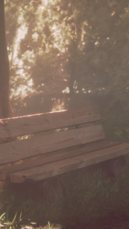 wooden park bench in a sunny forest