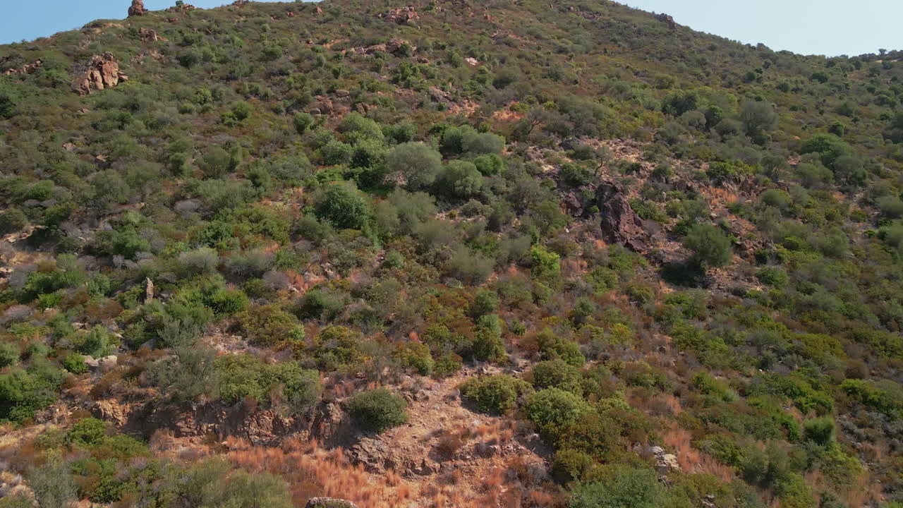 Arid Mediterranean Rock Mountains With Growing Plants At Tropical Summertime In Sardinia Italy