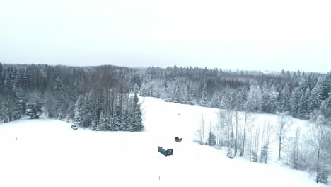 The-image-of-a-humble-hut-situated-within-a-wintry-village,-with-trees-gently-swaying-amidst-a-serene-blanket-of-snow,-possesses-an-enchanting-allure