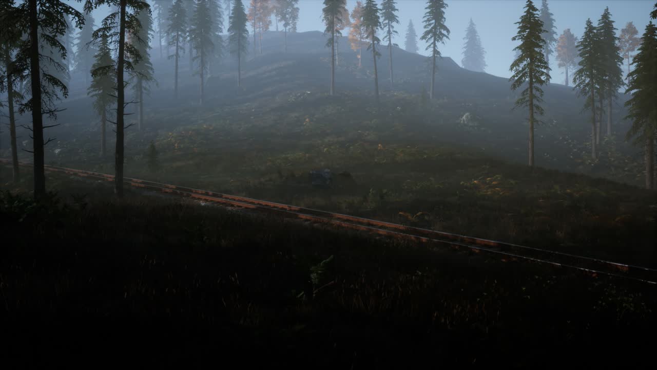 국가 숲 레크리에이션 지역과 철도와 함께 안개