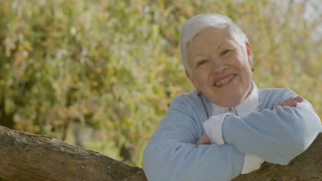 portrait shot of happy senior woman leaning on tree branch, then her husband approaching, kissing her and they smiling at the camera together