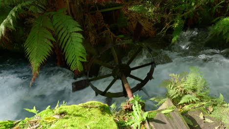 Antiguo-Molino-Girando-En-Agua-En-Blue-Springs-Putaruru,-Nueva-Zelanda