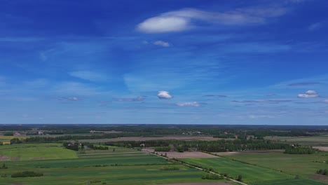 amplios campos verdes y un cielo azul brillante con nubes dispersas en un paisaje lituano