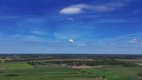 expansive green fields and a bright blue sky with scattered clouds in a lithuanian landscape