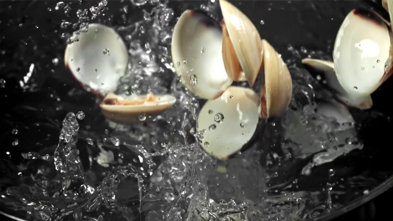 Frische Venusmuscheln spritzen in einen Topf mit Wasser
