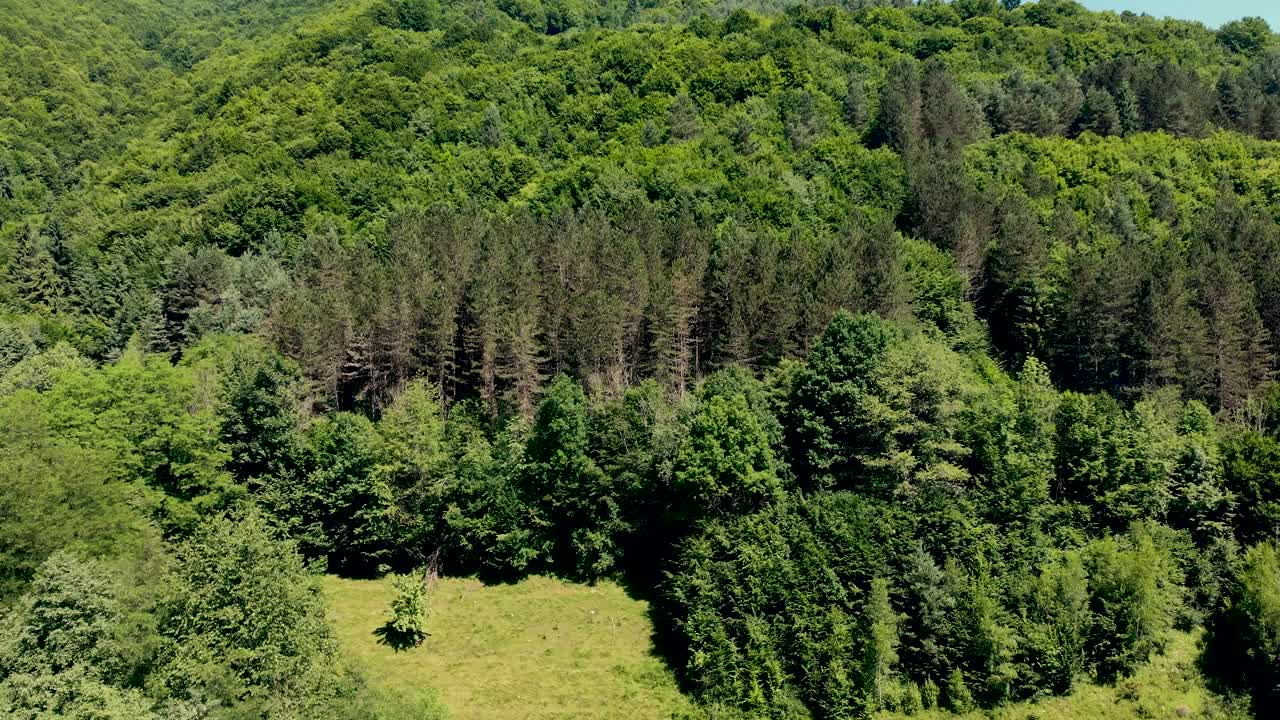산맥의 울창한 초목과 푸른 초원의 공중 전망