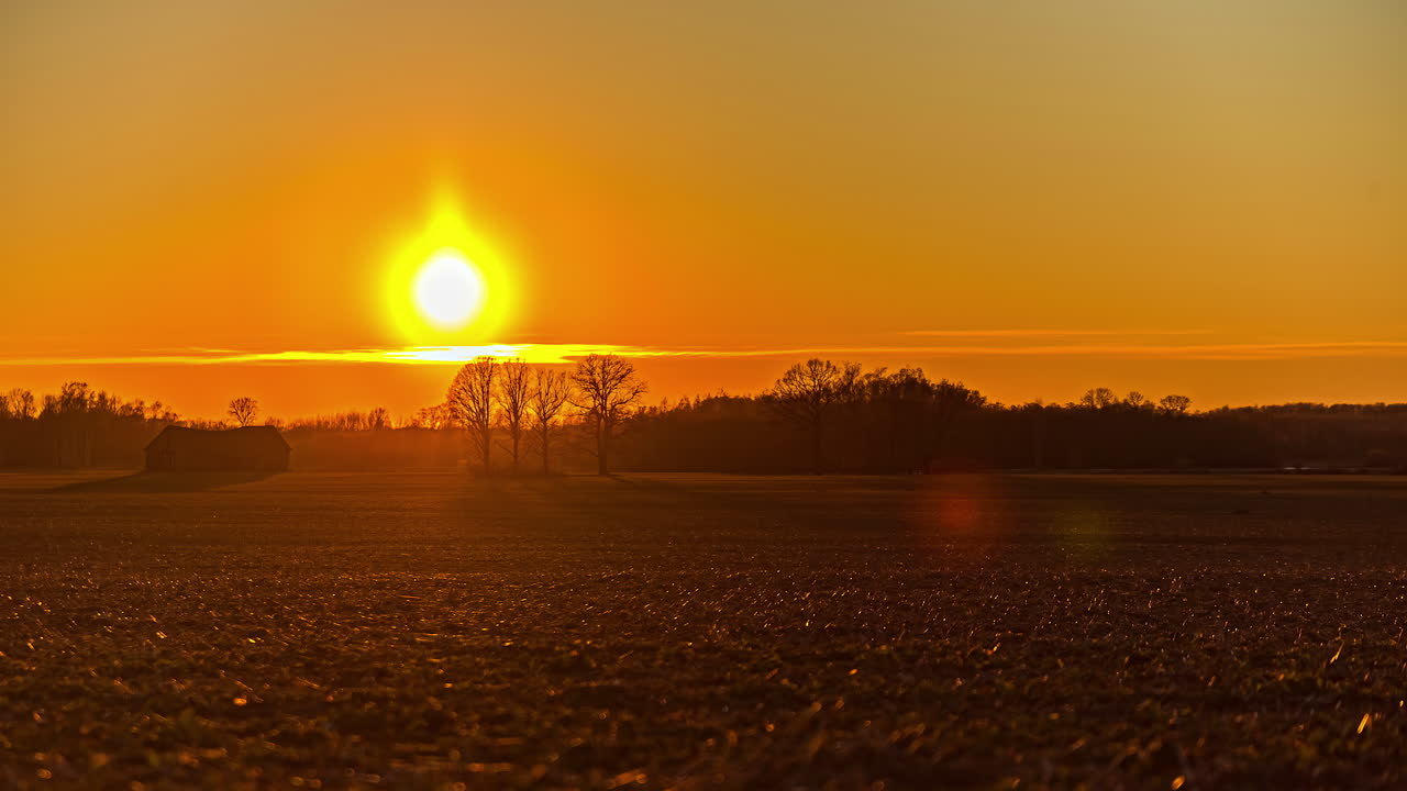 vívida puesta de sol en el horizonte dorado sobre los campos en el campo