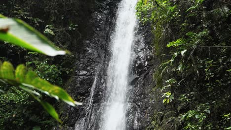 Tiro-De-Cascada-Con-Hojas-De-árbol-En-Primer-Plano