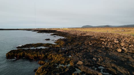 Toma-Aérea-De-La-Costa-Este-De-Islandia-Sobre-La-Playa