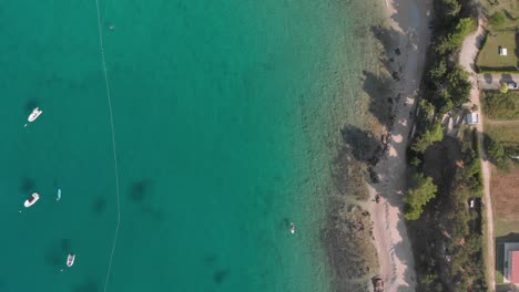 a professional looking aerial of a mediterranean coastline in croatia, at the clear und blue adriatic sea, pointed straight down with a sup crossing