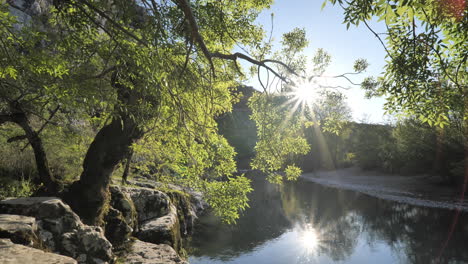 Moss-on-rocks-with-a-tree-along-a-calm-river-nature-France-sunset