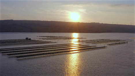 Aerial pullback captures maritime workers shaping oyster beds against dramatic golden-hour coastal landscape