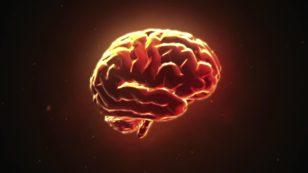 Brain Illustration