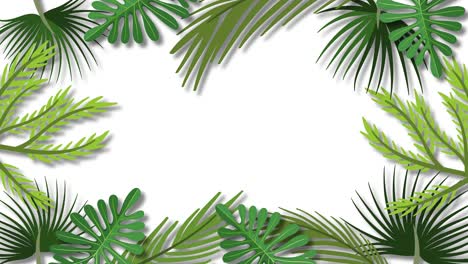 animated symmetrical pattern of tropical leaves.