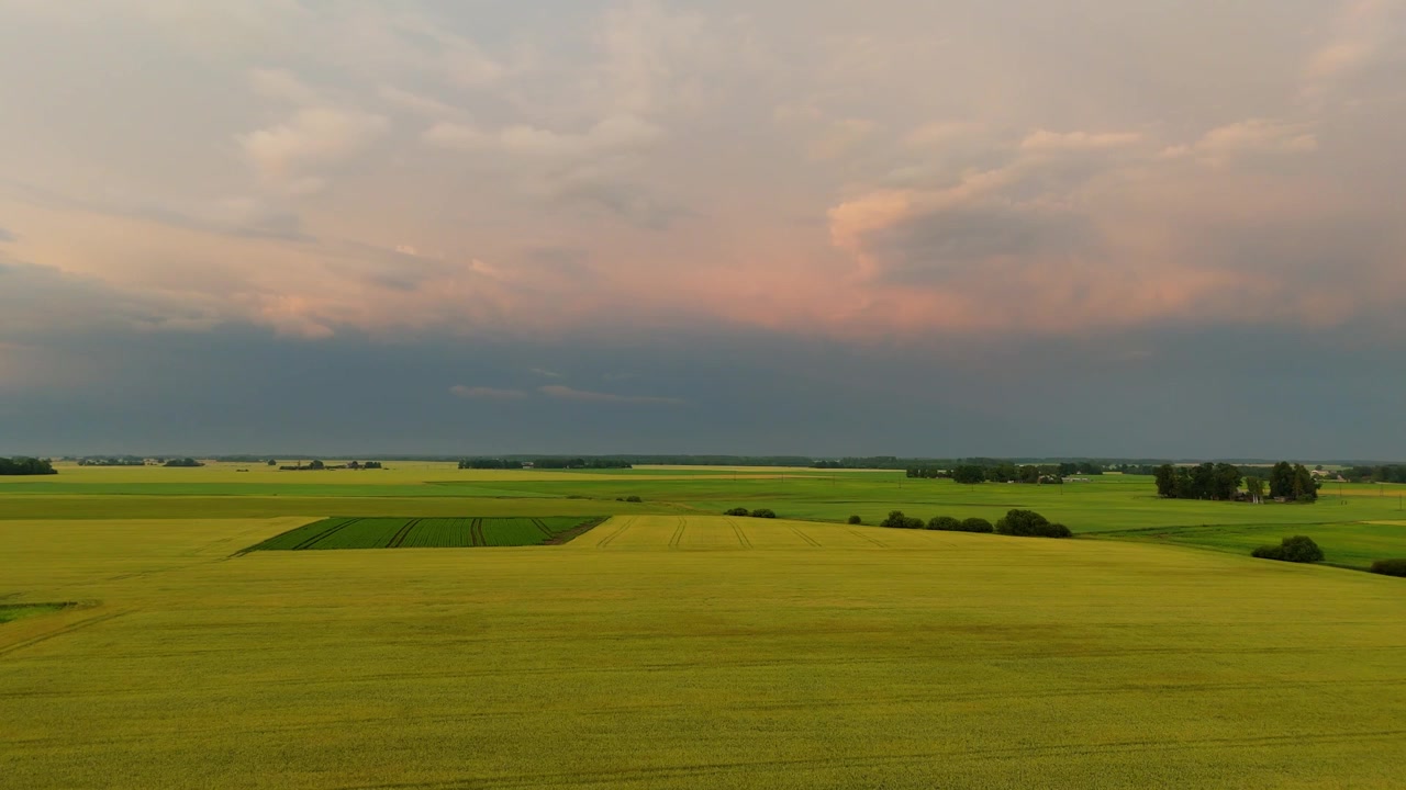 Drone View Above Golden Grain Field Beneath Dramatic Storm Clouds With Bright Rainbow After Summer Rain, Cinematic Rural Landscape, Beautiful Agricultural Countryside And Moody Sky In Nature