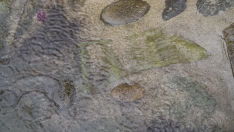 raindrops falling in small body of water, rain falling on rocky pathway, fiji