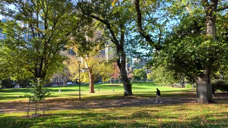 una persona caminando en un parque soleado