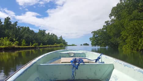 con vistas a la proa delantera de una pequeña lancha motora que se desliza sobre aguas tranquilas con un paisaje de ecosistema de manglares en la remota isla tropical de pohnpei, micronesia