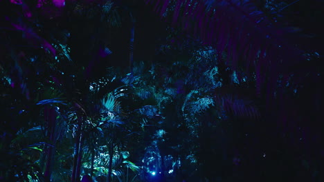 Moody-Beautiful-Lights-on-Trees-at-Night-in-Sydney-Botanic-Gardens-during-Vivid-in-Slow-Motion