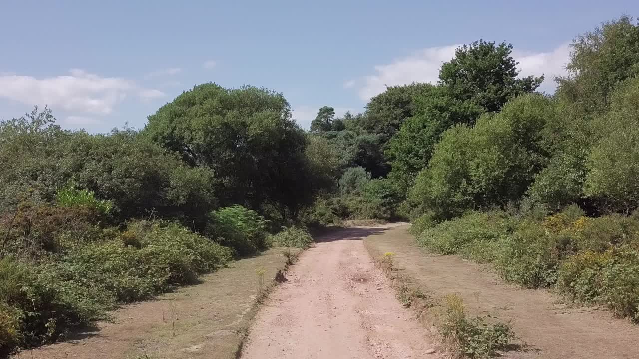 Dirt Road Through a Green Landscape