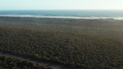 Isolierte-Straße-Mit-Grüner-Vegetation-Im-West-Coast-National-Park-In-Südafrika