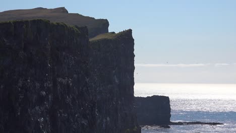 Die-Vogelklippen-Von-Latrabjarg-Island-Sind-Ein-Vogelbeobachtungsvergnügen,-Das-Wanderer-Erkunden-2