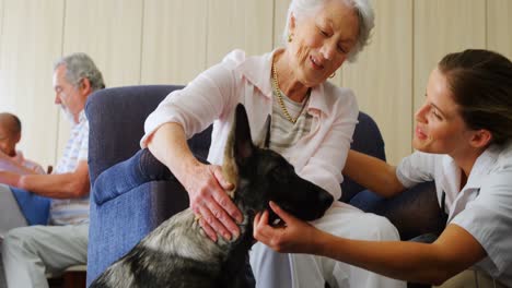 female doctor interacting with senior woman while petting dog at retirement home 4k