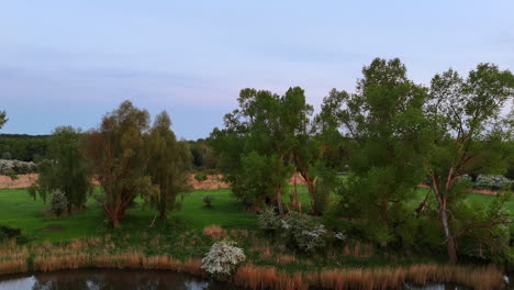 dutch twilight landscape. twilight reveals lush trees and vibrant greenery around a tranquil water body in the netherlands