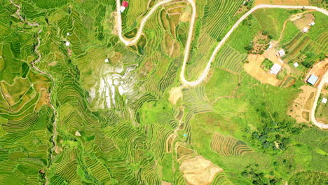 The-lush-landscape-of-Sapa