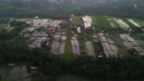 fotografía de drone de cultivo de arroz en terrazas y paisaje de la ciudad bajo un cielo polvoriento, ubud, indonesia